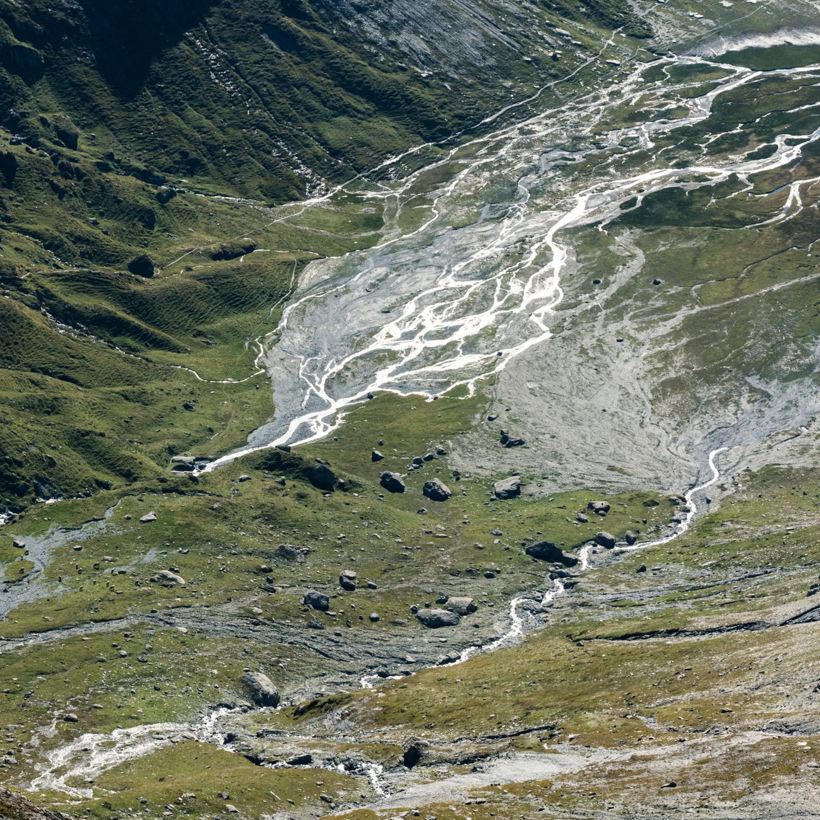 Vermögens&shy;verwaltung